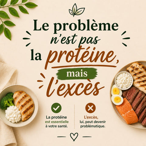 Le problème n'est pas la protéine, mais l'excès