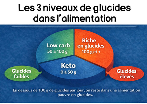 Les 3 niveaux de glucides dans l’alimentation