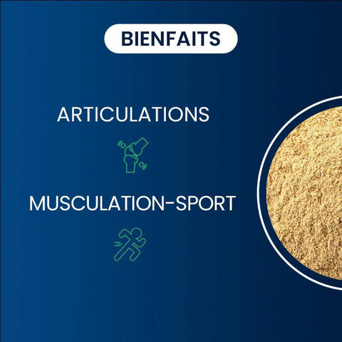 DI300 Dynveo - Glucosamine + Chondroïtine 60 gélules