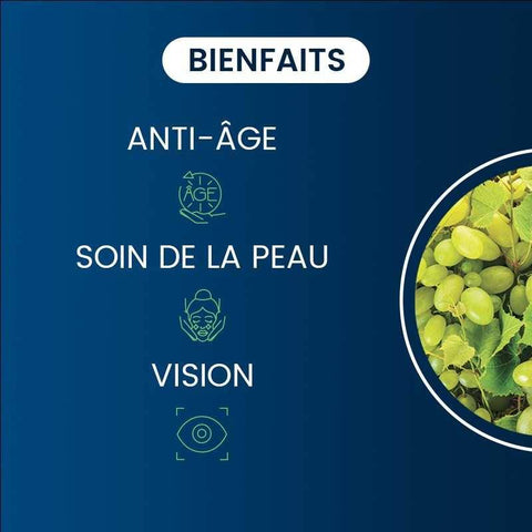 DI500 Dynveo - Extrait de pépins de raisin  (OPC) 60 gélules - Délices Low Carb