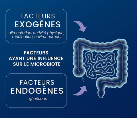 Dynveo - Pack Découverte du Microbiote intestinal