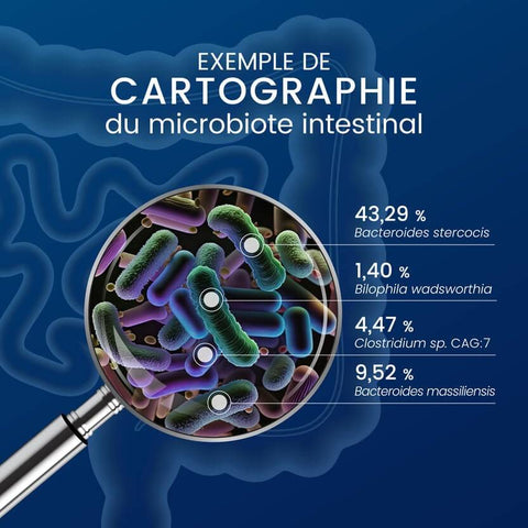 Dynveo - Pack Découverte du Microbiote intestinal