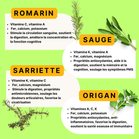 FOCUS 12 HERBES AROMATIQUES - Délices Low Carb