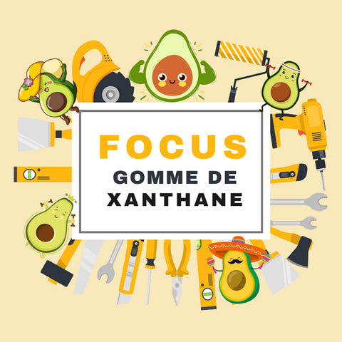 FOCUS GOMME DE XANTHANE