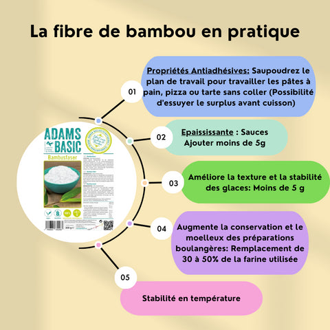 FOCUS FIBRE DE BAMBOU