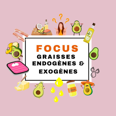 FOCUS GRAISSES ENDOGÈNES & EXOGÈNES