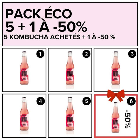 PACK ÉCO - 5 Kombucha sans sucre Wild Berries achetés + 1 à -50%