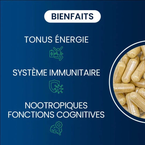 Complexe Multi-B - Dynvéo - 60 gélules (2 mois)