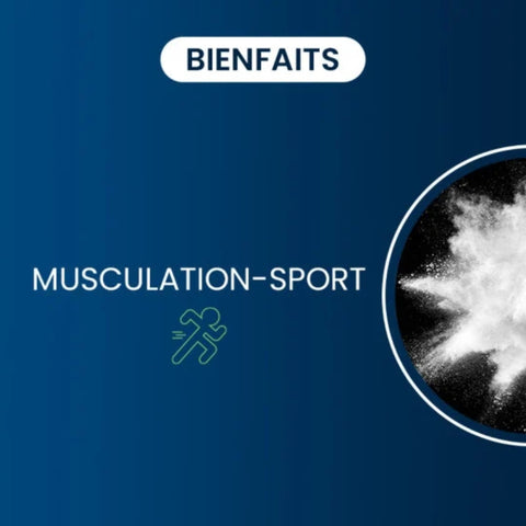 l-carnitine bienfaits musculation CARNIPURE - Perte de gras & Energie Quand prendre la L-Carnitine ?